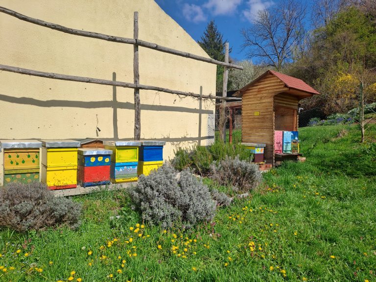 Opravila pri čebelah in predstavitev čebelarstva v mesecu aprilu