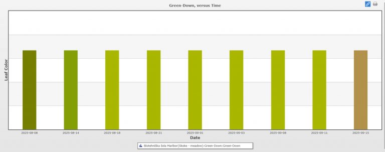 Rezultati Green down za oreh (Juglans regia) v letu 2025