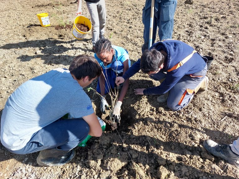 Projekt AgrosylviMob v medijih