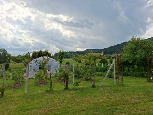 20250520 145454