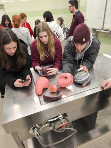 609319312 1439728570830707 8035593912188659092 n