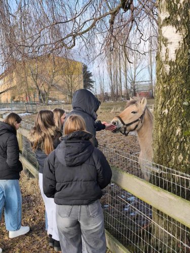 611121095 1375795673816593 4013762000977567304 n