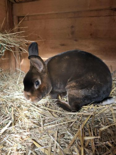 616505700 1398186365340267 2134502460104221020 n