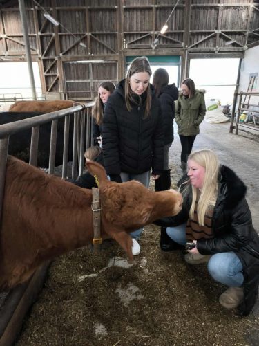 618134790 1404128567933670 4652147932263181436 n