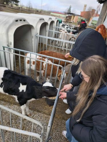 620645483 883929034390289 6590452865623486016 n