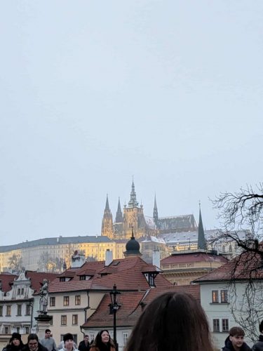 621168920 1229763345812301 1896885301855077993 n