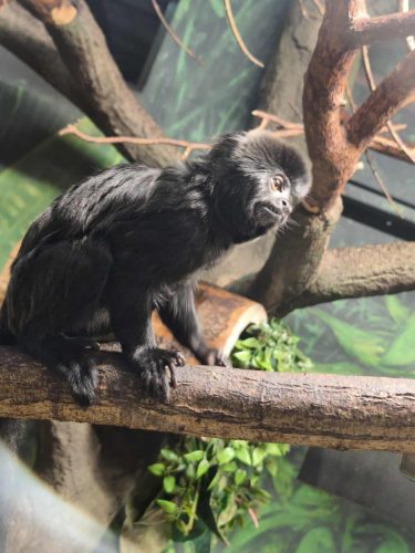 622346938 1969033463675482 618822616796272489 n