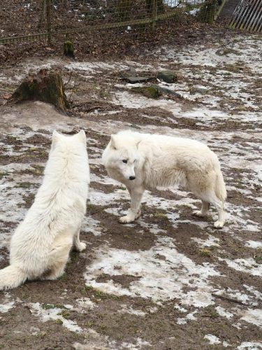 623810672 25586021171089615 35320262989945511 n