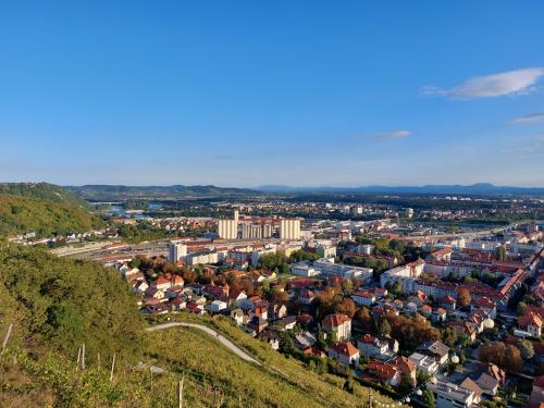 ERASMUS MARIBOR 2021 009 (1)