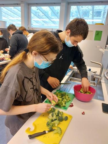 Mednarodni projekti