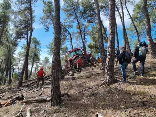 IMG 20260309 120113618 HDR