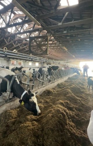 Slika2 (1) (1) (1) (1)