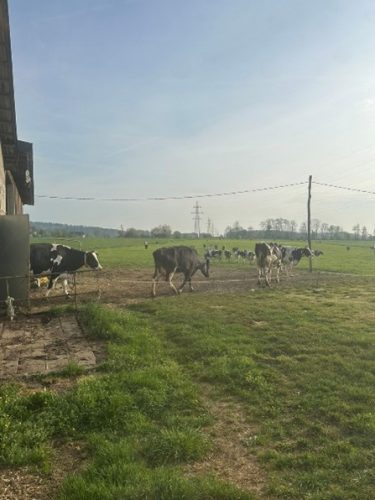 Slika4 (1) (1) (1) (1)