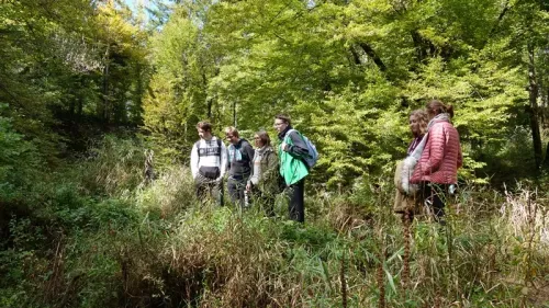 cerknica pivka 2018 20