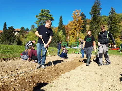 sajenje solate 2018 24