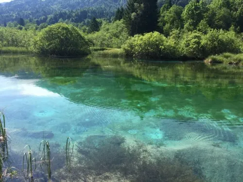 tabor kranjska gora 2017 16